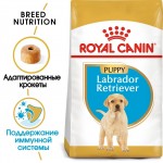 Купить Royal Canin Labrador Retriever Puppy для щенков породы лабрадор ретривер в возрасте до 15 месяцев 3 кг Royal Canin в Калиниграде с доставкой (фото 2)