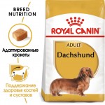 Купить Royal Canin Dachshund Adult для взрослых собак породы такса 1,5 кг Royal Canin в Калиниграде с доставкой (фото 2)