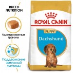 Купить Royal Canin Dachshund Puppy для щенков породы такса до 10 месяцев 1.5 кг Royal Canin в Калиниграде с доставкой (фото 2)