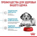 Купить Royal Canin Medium Puppy для щенков пород средних размеров 3 кг Royal Canin в Калиниграде с доставкой (фото 1)