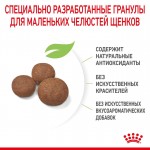 Купить Royal Canin Medium Puppy для щенков пород средних размеров 3 кг Royal Canin в Калиниграде с доставкой (фото 5)