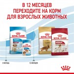 Купить Royal Canin Medium Puppy для щенков пород средних размеров 3 кг Royal Canin в Калиниграде с доставкой (фото 7)