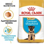 Купить Royal Canin German Shepherd Puppy для щенков немецкой овчарки до 15 месяцев 3 кг Royal Canin в Калиниграде с доставкой (фото 2)