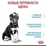 Купить Royal Canin MAXI PUPPY для щенков и юниоров крупных пород 3 кг Royal Canin в Калиниграде с доставкой (фото 2)