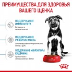 Купить Royal Canin MAXI PUPPY для щенков и юниоров крупных пород 15 кг Royal Canin в Калиниграде с доставкой (фото 1)