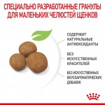 Купить Royal Canin MAXI PUPPY для щенков и юниоров крупных пород 15 кг Royal Canin в Калиниграде с доставкой (фото 5)