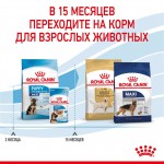 Купить Royal Canin MAXI PUPPY для щенков и юниоров крупных пород 15 кг Royal Canin в Калиниграде с доставкой (фото 6)