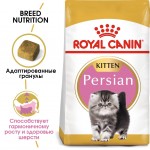 Купить Royal Canin Persian Kitten для персидских котят (в возрасте до 12 месяцев) 2 кг Royal Canin в Калиниграде с доставкой (фото 2)