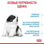 Купить ROYAL CANIN Giant Puppy для щенков очень крупных пород 3.5 кг Royal Canin в Калиниграде с доставкой (фото 4)