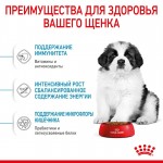 Купить ROYAL CANIN Giant Puppy для щенков очень крупных пород 15 кг Royal Canin в Калиниграде с доставкой (фото 1)