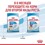 Купить ROYAL CANIN Giant Puppy для щенков очень крупных пород 15 кг Royal Canin в Калиниграде с доставкой (фото 7)
