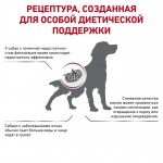 Купить Royal Canin Renal RF 14 Canine для взрослых собак для поддержания функции почек 14 кг Royal Canin в Калиниграде с доставкой (фото 1)