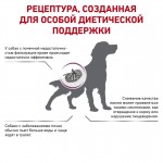 Купить Royal Canin Early Renal для взрослых собак при ранней стадии почечной недостаточности 2 кг Royal Canin в Калиниграде с доставкой (фото 1)