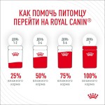 Купить ROYAL CANIN Feline Care Nutrition Digest Sensitive Care High Digestibility для кошек с чувствительным пищеварением, 85 г Royal Canin в Калиниграде с доставкой (фото 8)