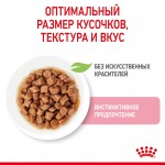 Купить Консервы Royal Canin, для котят с 4 до 12 месяцев, мелкие кусочки в соусе, 85 г Royal Canin в Калиниграде с доставкой (фото 1)