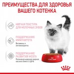 Купить Консервы Royal Canin, для котят с 4 до 12 месяцев, мелкие кусочки в соусе, 85 г Royal Canin в Калиниграде с доставкой (фото 6)