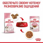 Купить Консервы Royal Canin, для котят с 4 до 12 месяцев, мелкие кусочки в соусе, 85 г Royal Canin в Калиниграде с доставкой (фото 7)