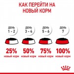 Купить Консервы Royal Canin, для котят с 4 до 12 месяцев, мелкие кусочки в соусе, 85 г Royal Canin в Калиниграде с доставкой (фото 10)