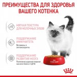 Купить Консервы Royal Canin, для котят с 4 до 12 месяцев, мелкие кусочки в желе, 85 г Royal Canin в Калиниграде с доставкой (фото 6)