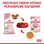 Купить Консервы Royal Canin, для котят с 4 до 12 месяцев, мелкие кусочки в желе, 85 г Royal Canin в Калиниграде с доставкой (фото 7)
