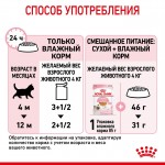 Купить Консервы Royal Canin, для котят с 4 до 12 месяцев, мелкие кусочки в желе, 85 г Royal Canin в Калиниграде с доставкой (фото 9)