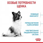 Купить Royal Canin X-Small Puppy для щенков очень мелких собак (до 4 кг) в возрасте до 10 месяцев 3 кг Royal Canin в Калиниграде с доставкой (фото 1)