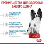 Купить Royal Canin X-Small Puppy для щенков очень мелких собак (до 4 кг) в возрасте до 10 месяцев 3 кг Royal Canin в Калиниграде с доставкой (фото 5)