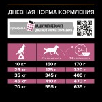 Купить Pro Plan OPTIDERMA для средних и крупных пожилых собак с чувствительной кожей, лосось, рис, 14 кг Pro Plan в Калиниграде с доставкой (фото 12)