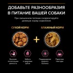 Купить Pro Plan OPTIDERMA для средних и крупных пожилых собак с чувствительной кожей, лосось, рис, 14 кг Pro Plan в Калиниграде с доставкой (фото 11)