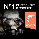 Купить Pro Plan OPTIDERMA для средних и крупных пожилых собак с чувствительной кожей, лосось, рис, 14 кг Pro Plan в Калиниграде с доставкой (фото 8)