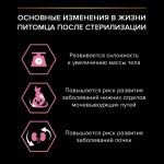 Купить Purina Pro Plan OPTIDIGEST для стерилизованных кошек с чувствительным ЖКТ, курица, 1,5 кг Pro Plan в Калиниграде с доставкой (фото 9)