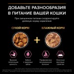Купить Purina Pro Plan OPTIDIGEST для стерилизованных кошек с чувствительным ЖКТ, курица, 1,5 кг Pro Plan в Калиниграде с доставкой (фото 4)