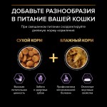 Купить Сухой корм Purina Pro Plan OPTISTART для стерилизованных котят, с высоким содержанием лосося, пакет, 400 г Pro Plan в Калиниграде с доставкой (фото 4)