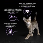 Купить Сухой корм Purina Pro Plan OPTISTART для стерилизованных котят, с высоким содержанием лосося, пакет, 400 г Pro Plan в Калиниграде с доставкой (фото 3)