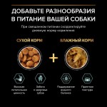 Купить Pro Plan OPTIDIGEST беззерновой корм для щенков средних и крупных пород, индейка, 12 кг Pro Plan в Калиниграде с доставкой (фото 7)