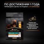 Купить Pro Plan OPTISTART для щенков мелких и карликовых пород с курицей и рисом, 700 г Pro Plan в Калиниграде с доставкой (фото 6)