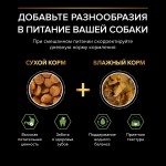 Купить Pro Plan OPTISTART для щенков мелких и карликовых пород с курицей и рисом, 700 г Pro Plan в Калиниграде с доставкой (фото 14)