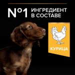 Купить Pro Plan OPTISTART для щенков мелких и карликовых пород с курицей и рисом, 700 г Pro Plan в Калиниграде с доставкой (фото 17)