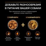 Купить Purina Pro Plan OPTIBALANCE для собак мелких и карликовых пород, курица с рисом, 700 г Pro Plan в Калиниграде с доставкой (фото 4)