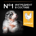 Купить Pro Plan OPTISTART для щенков средних и мелких пород, с высоким содержанием курицы, 12 кг Pro Plan в Калиниграде с доставкой (фото 7)