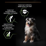 Купить Purina Pro Plan OPTISTART для щенков средних пород, курица с рисом, 12 кг Pro Plan в Калиниграде с доставкой (фото 3)