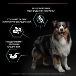 Купить Pro Plan OPTIDIGEST беззерновой корм для собак средних и крупных пород, индейка, 2,5 кг Pro Plan в Калиниграде с доставкой (фото 5)