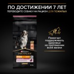 Купить Purina Pro Plan OPTIDERMA для собак средних пород с чувствительной кожей, с лососем 3 кг Pro Plan в Калиниграде с доставкой (фото 13)