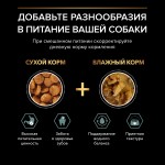 Купить Purina Pro Plan OPTIDIGEST для собак мелких пород с чувствительным ЖКТ, ягнёнок рис, 700 г Pro Plan в Калиниграде с доставкой (фото 6)