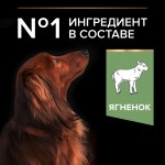 Купить Purina Pro Plan OPTIDIGEST для собак мелких пород с чувствительным ЖКТ, ягнёнок рис, 7 кг Pro Plan в Калиниграде с доставкой (фото 5)