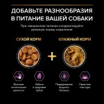 Купить Purina Pro Plan OPTIAGE для мелких и карликовых собак с чувствительной кожей, курица рис, 700 г Pro Plan в Калиниграде с доставкой (фото 10)
