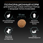 Купить Purina Pro Plan OPTIDIGEST для крупных собак с чувствительным пищеварением, ягненок рис, 14 кг Pro Plan в Калиниграде с доставкой (фото 3)