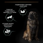 Купить Purina Pro Plan OPTIDIGEST для крупных собак с чувствительным пищеварением, ягненок рис, 14 кг Pro Plan в Калиниграде с доставкой (фото 2)