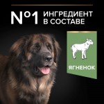 Купить Purina Pro Plan OPTIDIGEST для крупных собак с чувствительным пищеварением, ягненок рис, 14 кг Pro Plan в Калиниграде с доставкой (фото 7)