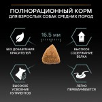 Купить Purina Pro Plan OPTIDIGEST для собак средних пород с чувствительным ЖКТ, ягнёнок рис, 14 кг Pro Plan в Калиниграде с доставкой (фото 8)
